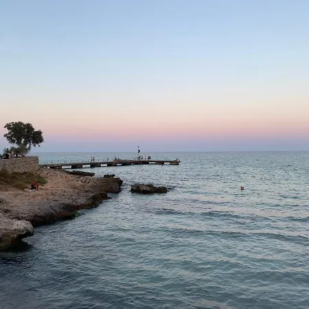 Alborada * كالا مييور