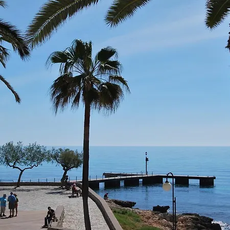 Alborada * كالا مييور